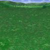cloverf.jpg