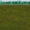 grass2.jpg