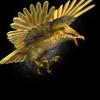 thunderbird1.jpg